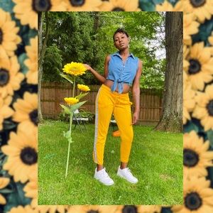 NWT CITRUS YELLOW PUMA TRACK PANTS